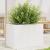 Jardinieră de grădină, alb, 70x40x45,5 cm, lemn masiv de pin GartenMobel Dekor