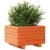 Jardinieră grădină, maro ceruit, 40x40x26,5 cm, lemn masiv pin GartenMobel Dekor