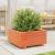Jardinieră grădină, maro ceruit, 50x50x26,5 cm, lemn masiv pin GartenMobel Dekor