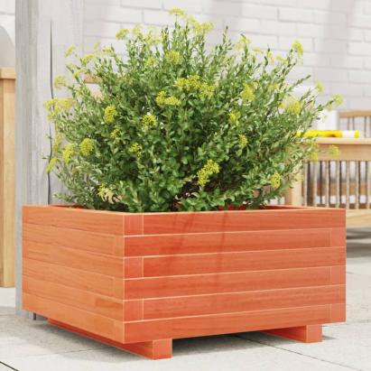Jardinieră grădină, maro ceruit, 50x50x26,5 cm, lemn masiv pin GartenMobel Dekor