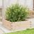 Jardinieră de grădină, 70x70x23 cm, lemn masiv de pin GartenMobel Dekor