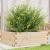Jardinieră de grădină, 70x70x23 cm, lemn masiv de pin GartenMobel Dekor