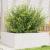 Jardinieră de grădină, alb, 70x70x23 cm, lemn masiv de pin GartenMobel Dekor