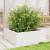 Jardinieră de grădină, alb, 70x70x23 cm, lemn masiv de pin GartenMobel Dekor