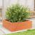 Jardinieră de grădină, maro ceruit, 70x70x23 cm, lemn masiv pin GartenMobel Dekor