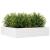 Jardinieră de grădină, alb, 100x100x23 cm, lemn masiv de pin GartenMobel Dekor