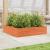 Jardinieră de grădină, maro ceruit, 100x100x23cm lemn masiv pin GartenMobel Dekor
