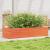 Jardinieră de grădină, maro ceruit, 110x40x23 cm lemn masiv pin GartenMobel Dekor