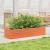Jardinieră de grădină, maro ceruit, 110x40x23 cm lemn masiv pin GartenMobel Dekor