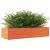 Jardinieră de grădină, maro ceruit, 110x40x23 cm lemn masiv pin GartenMobel Dekor