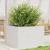 Jardinieră de grădină, alb, 70x70x45,5 cm, lemn masiv de pin GartenMobel Dekor