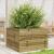 Jardinieră de grădină, 70x70x45,5 cm, lemn de pin impregnat GartenMobel Dekor