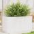 Jardinieră de grădină, alb, 90x40x45,5 cm, lemn masiv de pin GartenMobel Dekor