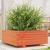Jardinieră grădină, maro ceruit, 60x60x26,5 cm, lemn masiv pin GartenMobel Dekor
