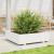Jardinieră de grădină, alb, 90x90x26,5 cm, lemn masiv de pin GartenMobel Dekor