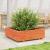 Jardinieră grădină, maro ceruit, 90x90x26,5 cm, lemn masiv pin GartenMobel Dekor