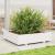 Jardinieră de grădină, alb, 100x100x26,5 cm, lemn masiv de pin GartenMobel Dekor
