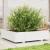 Jardinieră de grădină, alb, 100x100x26,5 cm, lemn masiv de pin GartenMobel Dekor