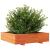 Jardinieră grădină, maro ceruit, 100x100x26,5cm, lemn masiv pin GartenMobel Dekor