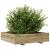 Jardinieră de grădină, 100x100x26,5 cm, lemn de pin impregnat GartenMobel Dekor