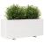Jardinieră de grădină, alb, 110x40x49,5 cm, lemn masiv de pin GartenMobel Dekor