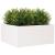 Jardinieră de grădină, alb, 100x100x46 cm, lemn masiv de pin GartenMobel Dekor
