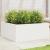 Jardinieră de grădină, alb, 110x110x46 cm, lemn masiv de pin GartenMobel Dekor