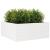 Jardinieră de grădină, alb, 110x110x46 cm, lemn masiv de pin GartenMobel Dekor