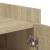 Pantofar, stejar sonoma, 52x37,5x100 cm, lemn prelucrat GartenMobel Dekor