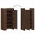 Pantofar, stejar maro, 52x37,5x100 cm, lemn prelucrat GartenMobel Dekor