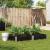Jardinieră de grădină, negru, 150x100 cm, lemn masiv pin GartenMobel Dekor