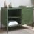 Dulap TV, verde măsliniu, 68x39x50,5 cm, oțel GartenMobel Dekor