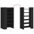 Pantofar, negru, 52x37,5x100 cm, lemn prelucrat GartenMobel Dekor