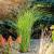 Suport sustinere flori, set 3 bucati, inaltime 60 cm, latime 20 cm, otel verde MultiMark GlobalProd