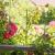 Arac plante, lungime 120 cm, diametru 16 mm, teava otel si plastic MultiMark GlobalProd