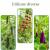 Arac plante, lungime 120 cm, diametru 16 mm, teava otel si plastic MultiMark GlobalProd
