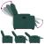 Fotoliu electric rabatabil cu ridicare, verde închis, textil GartenMobel Dekor