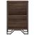 Bibliotecă, stejar maro, 50x31x74,5 cm, lemn prelucrat GartenMobel Dekor