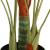 Palmier artificial cu 3 trunchiuri, verde, 85 cm, PP GartenMobel Dekor