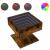 Măsuță de cafea cu LED stejar fumuriu 50x50x45cm lemn prelucrat GartenMobel Dekor