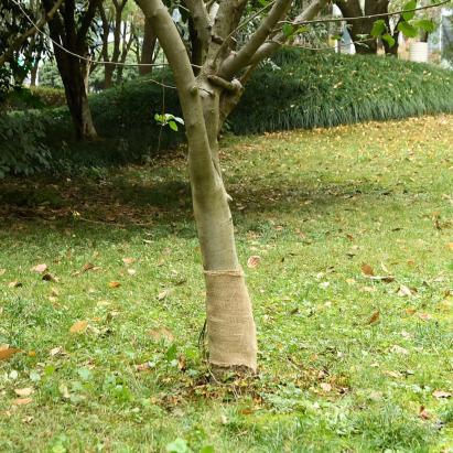 Rulou de iută, 0,25x10 m, iută 100%, 200 g/m² GartenMobel Dekor