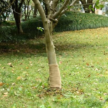 Rulou de iută, 0,25x25 m, iută 100%, 200 g/m² GartenMobel Dekor