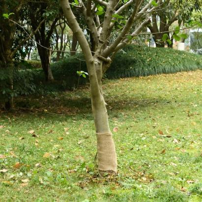 Rulou de iută, 0,25x100 m, iută 100%, 200 g/m² GartenMobel Dekor