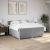 Pat box spring cu saltea, gri deschis, 200x200 cm, textil GartenMobel Dekor