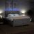 Pat box spring cu saltea, gri deschis, 200x200 cm, textil GartenMobel Dekor