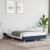 Cadru de pat, albastru, 120 x 200 cm, material textil GartenMobel Dekor