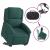 Fotoliu electric rabatabil cu ridicare, verde închis, textil GartenMobel Dekor
