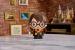 HARRY POTTER PUZZLE 4D HARRY POTTER 87 PIESE SuperHeroes ToysZone