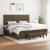 Pat box spring cu saltea, maro închis, 200x200 cm, textil GartenMobel Dekor