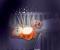 WINFUN PROIECTOR SI LAMPA DE VEGHE VEVERITA SuperHeroes ToysZone